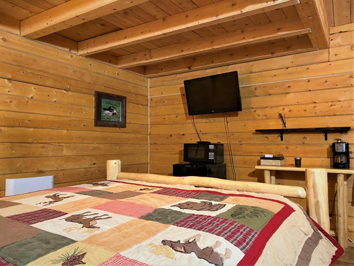 Alaska Creekside Cabins In 西沃德 外观 照片